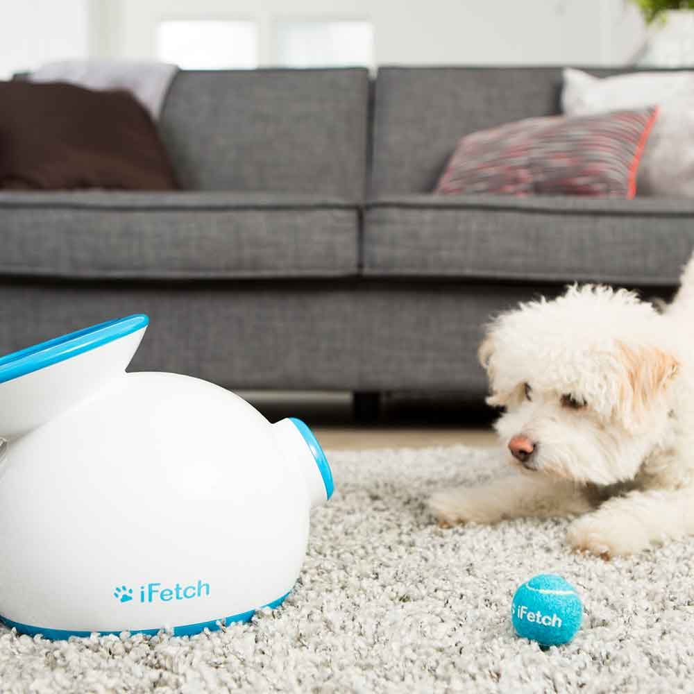 iFetch