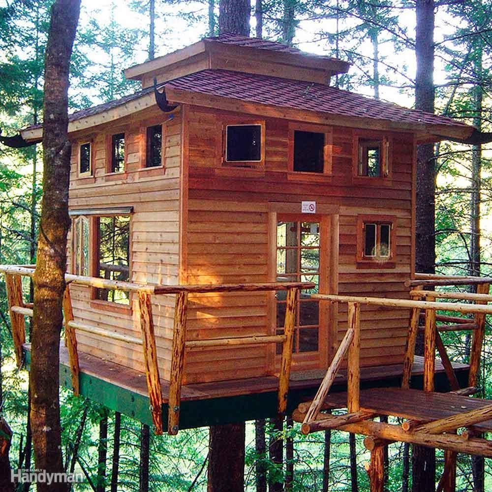 Install a Tree House
