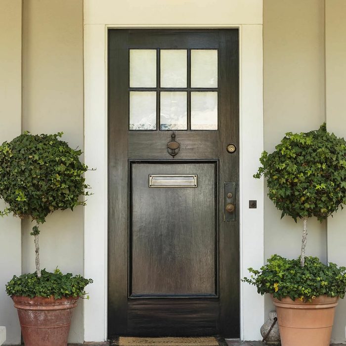 wooden brown front door plants
