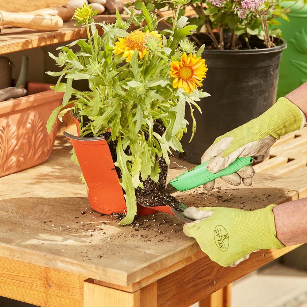 A better way to replant