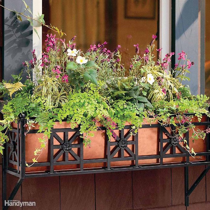 Flower box, planter