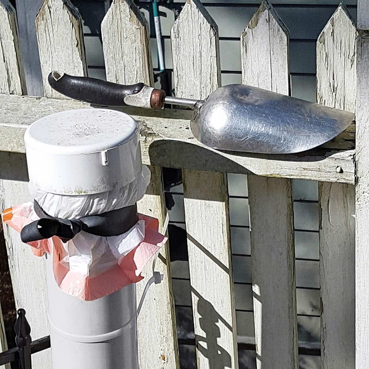 Poop Pipe
