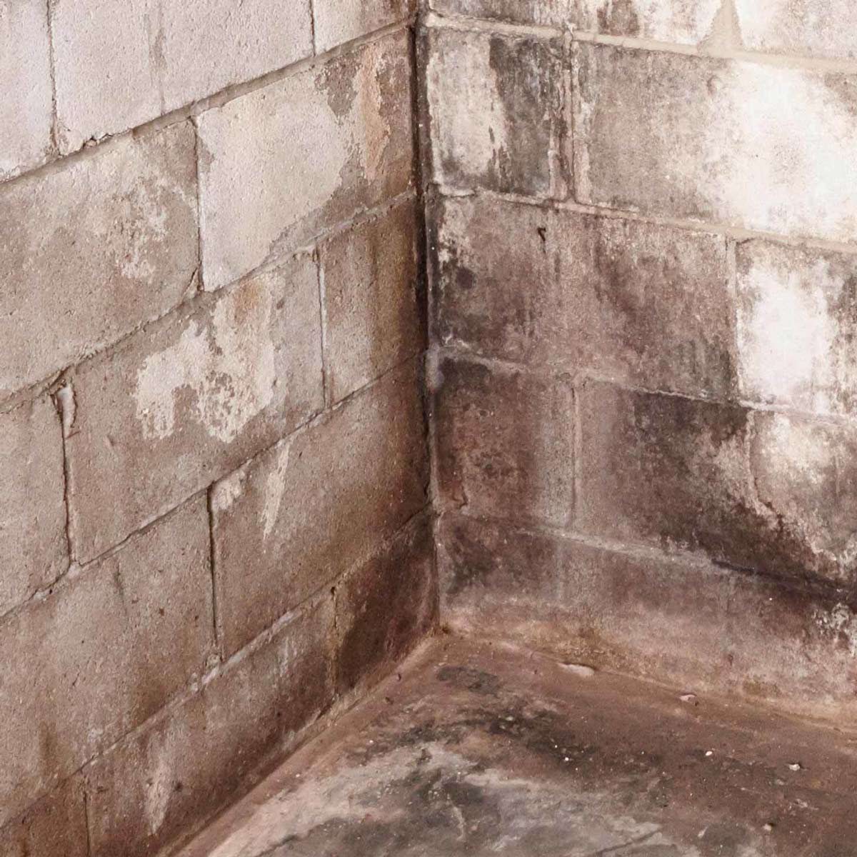 Using Your Basement? Beware Moisture