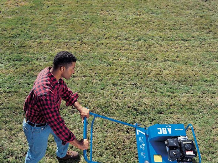 thinning lawn