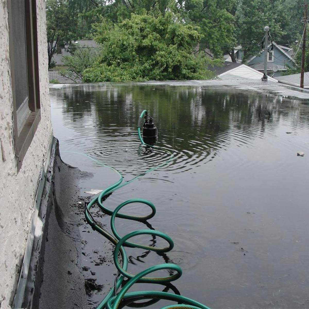 Rooftop fish pond?