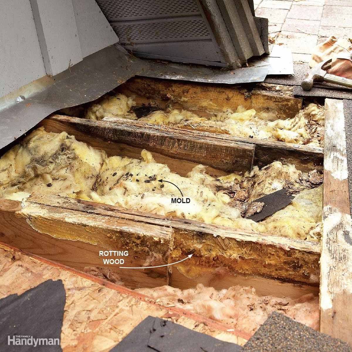 Roof Leaks