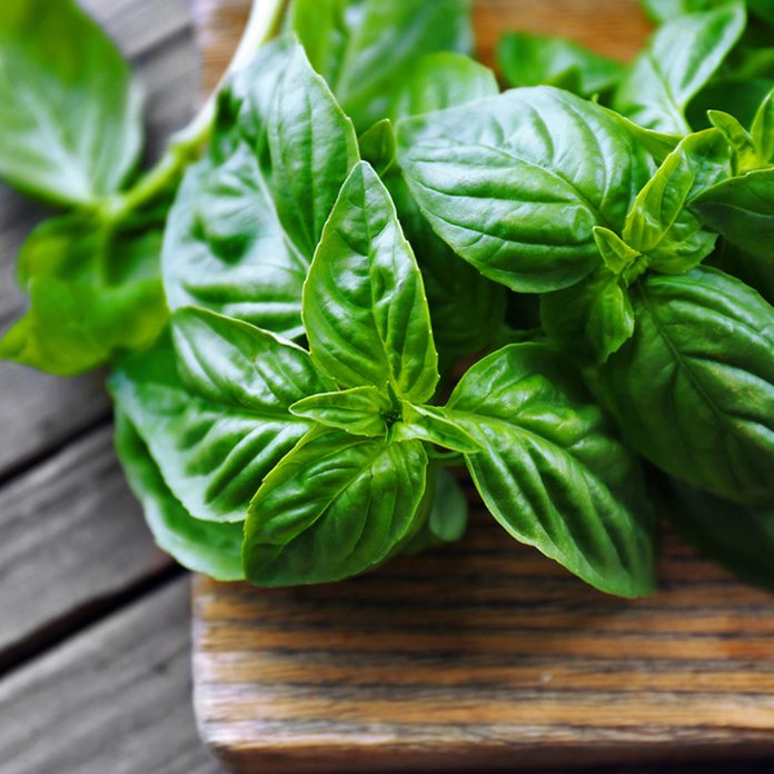 basil
