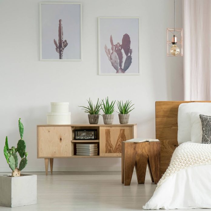 Cactus Artwork Bedroom