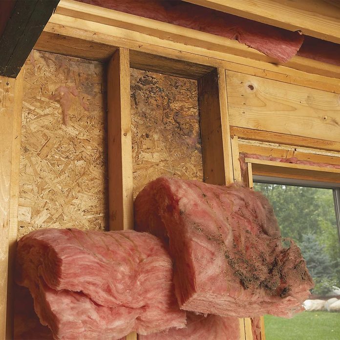 mold on exterior walls