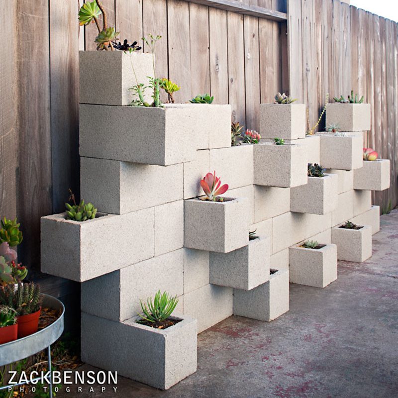 Succulent Planter Wall Zack Benson Photography Img Fad1f0370e023826 9 0176 1 5cb690a