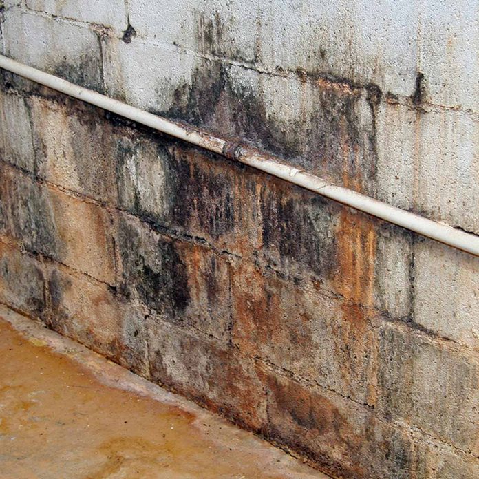wall