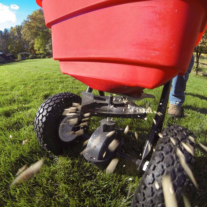 fertilize
