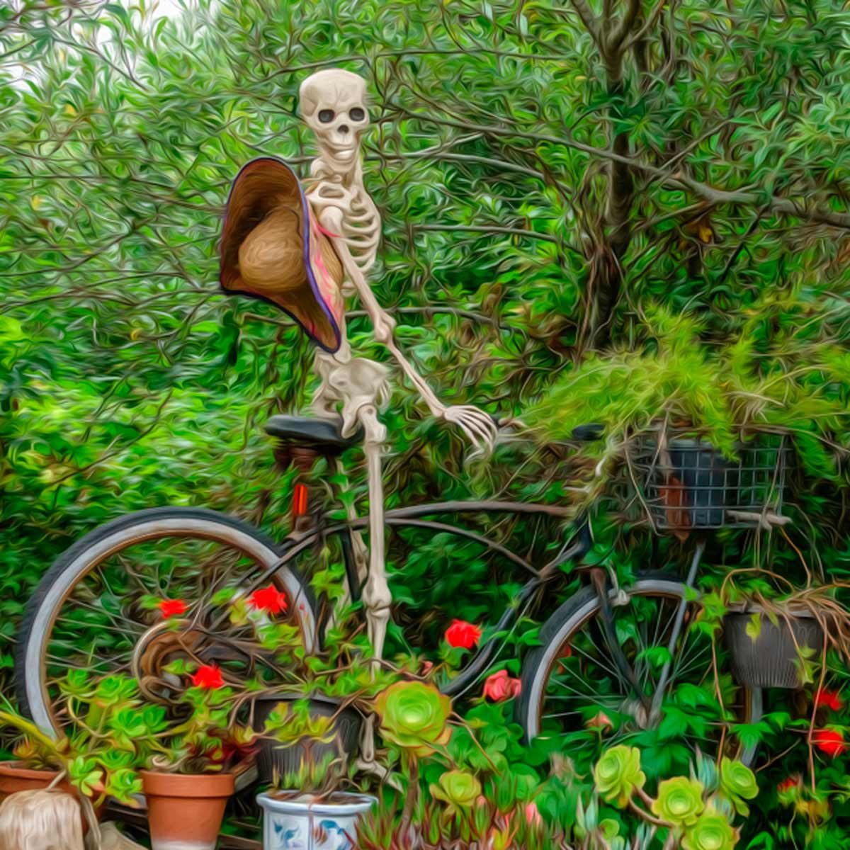 bike
