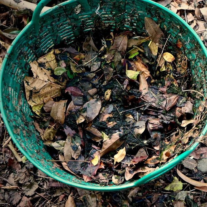 bin