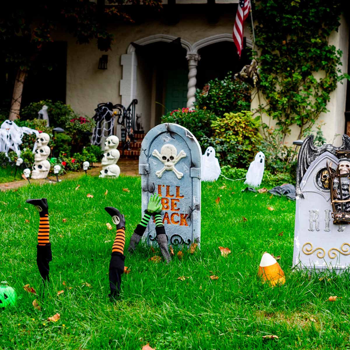 lawn