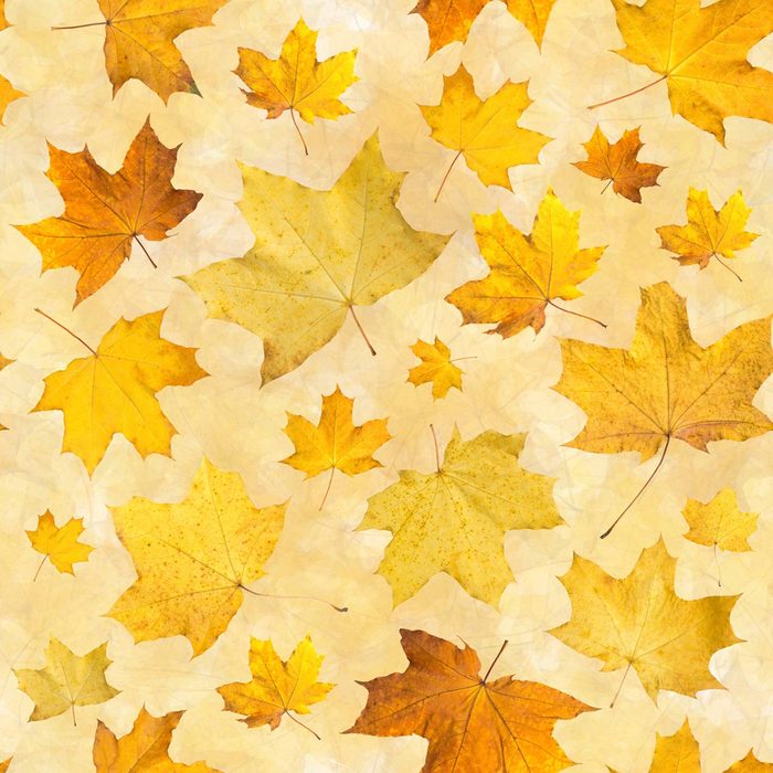fall