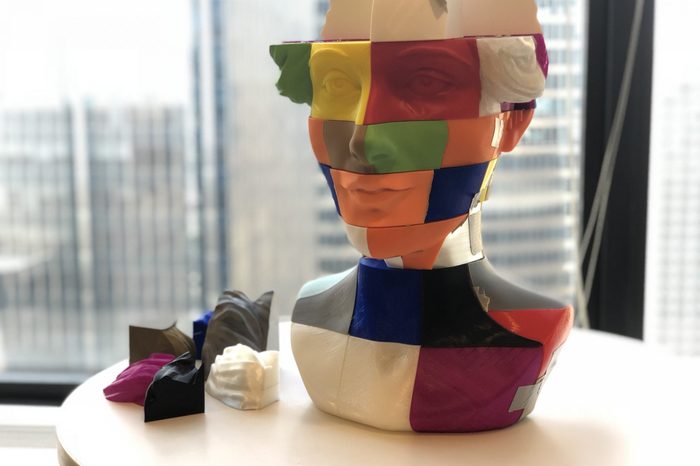 bust
