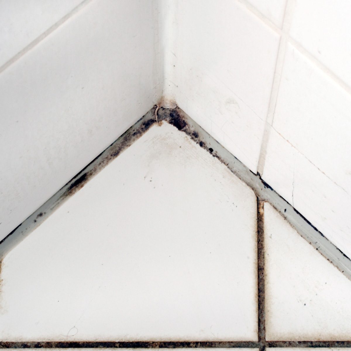 Mildew