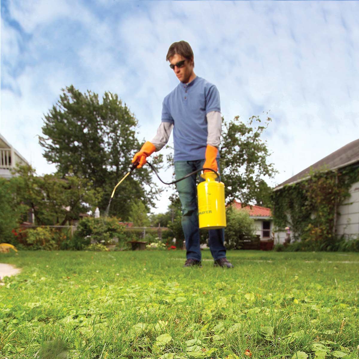lawn problems