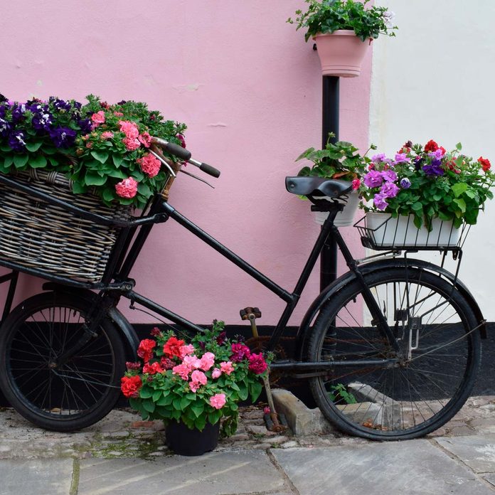 bicycle