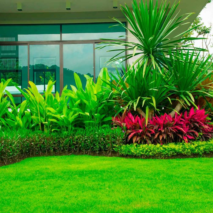 yard