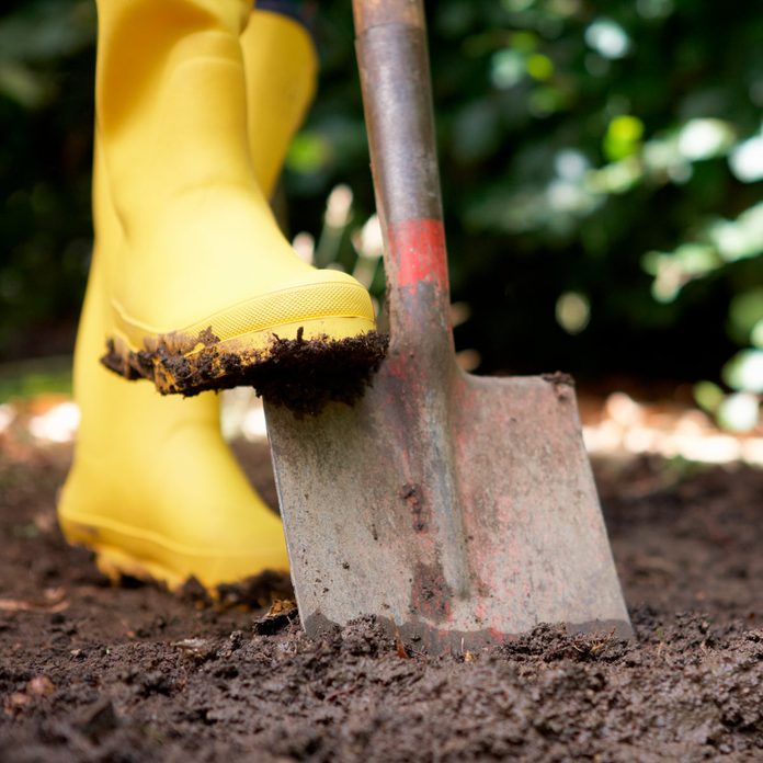 digging