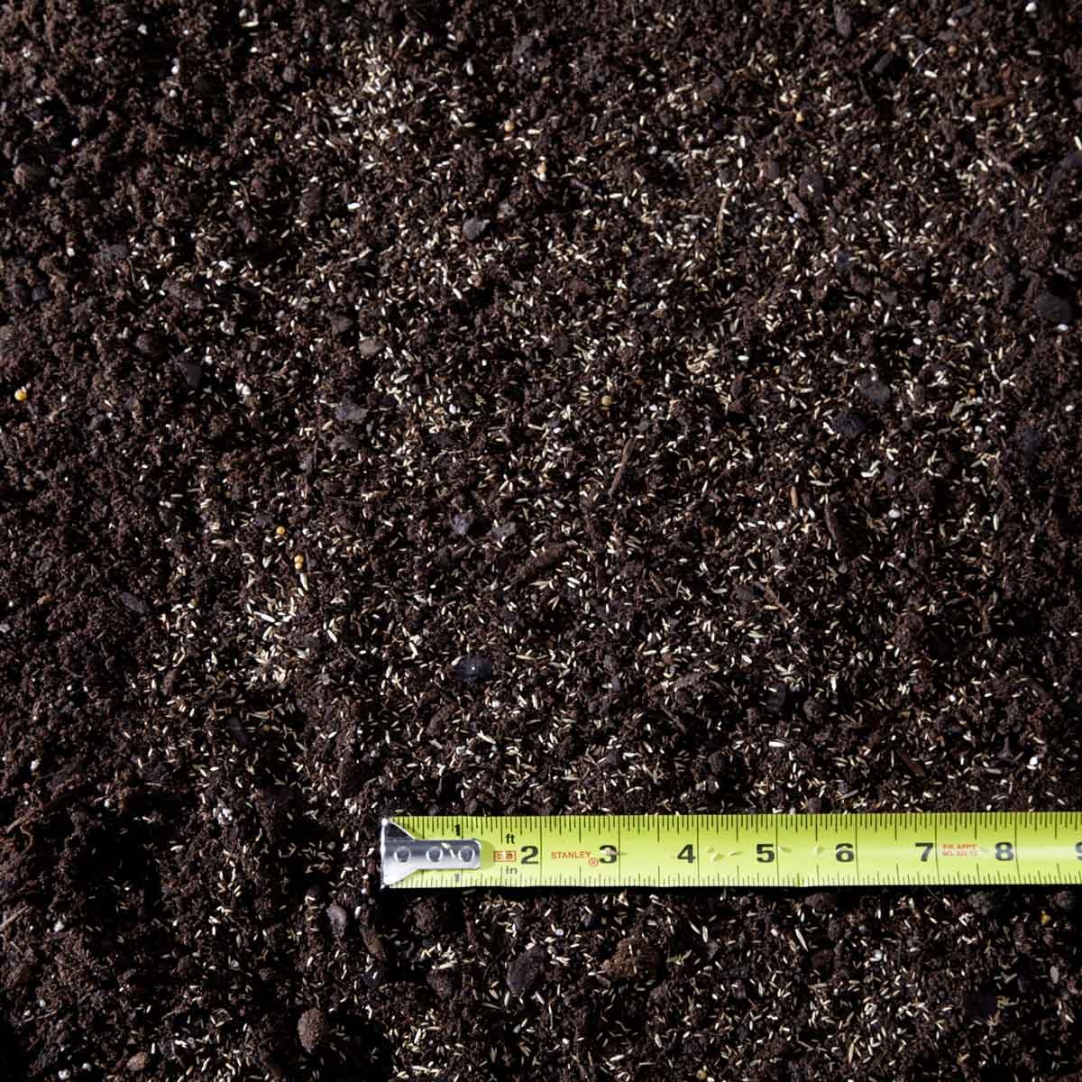 Reseed a lawn