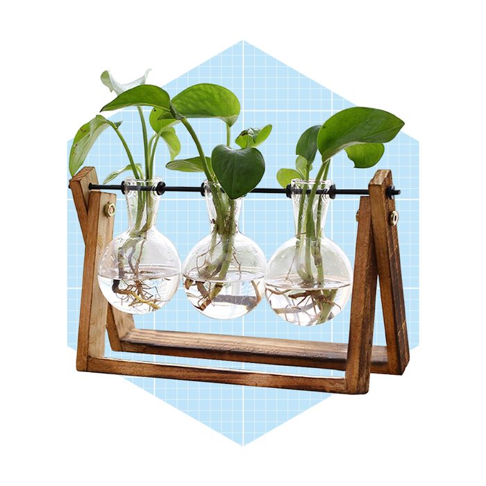 Three glass flasks with plants root in water are suspended on a wooden frame, set against a light blue, grid-patterned background.