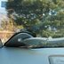 How To Clean Inside Car Windows