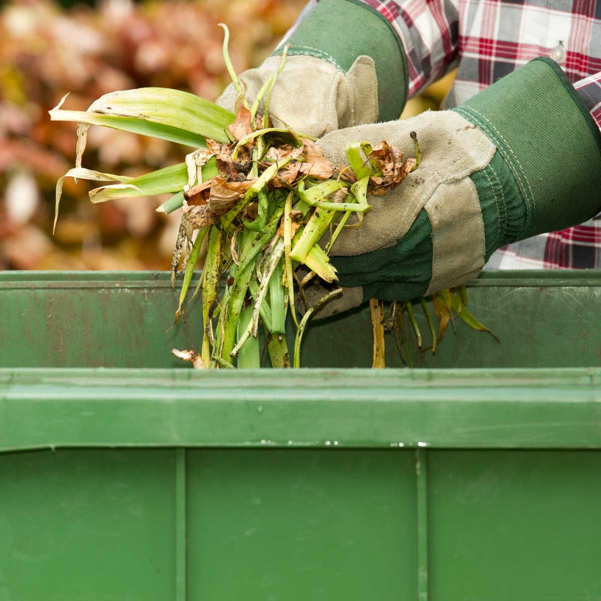 Here’s What to Do With Yard Waste