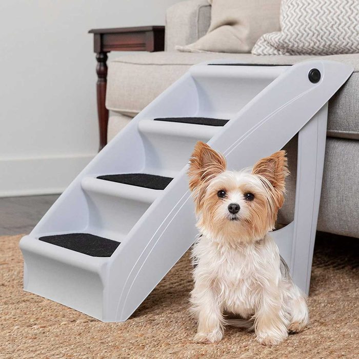 A small dog sits near a multi-step pet ramp, designed to help animals access higher surfaces, positioned against a cozy couch in a warm interior.