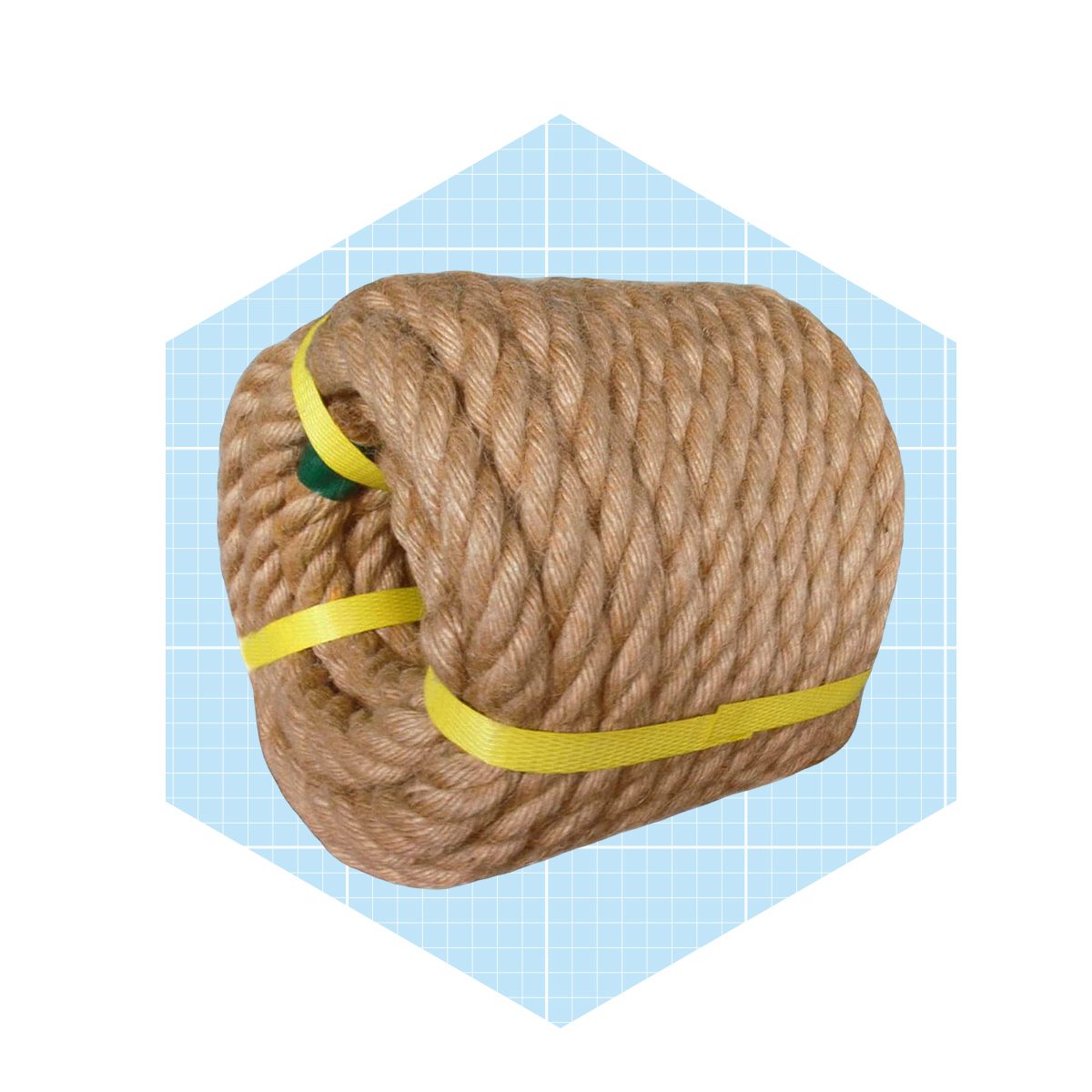 Rope Swing