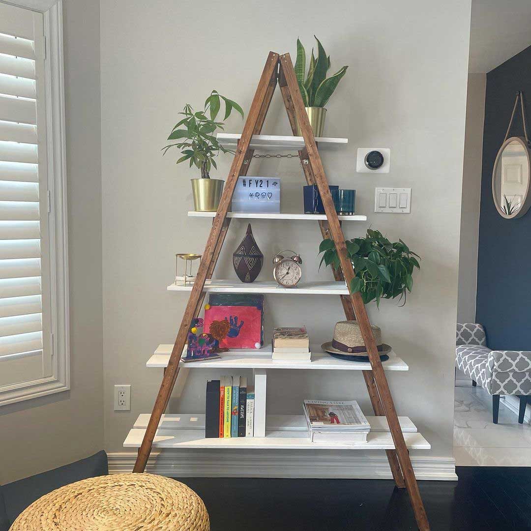 Shelves