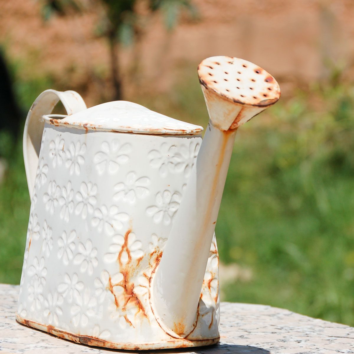 Rusty Watering Can 
