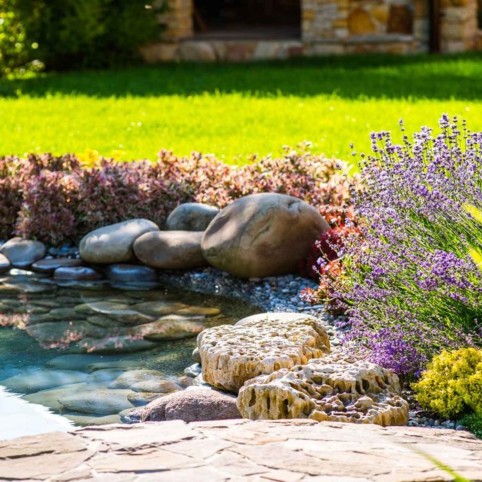 Shoreline Rain Garden
