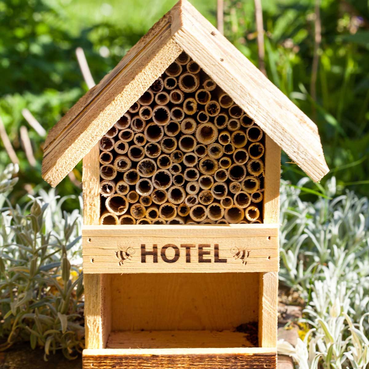 Bug Hotel