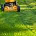 What Is the Best Height to Cut Grass?