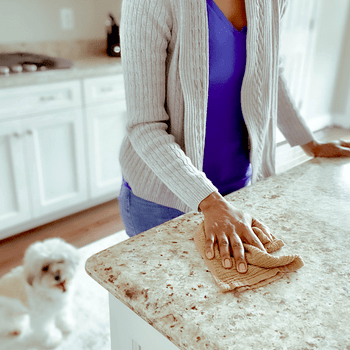 A person wipes a countertop with a cloth while a small dog observes nearby in a bright, modern kitchen.