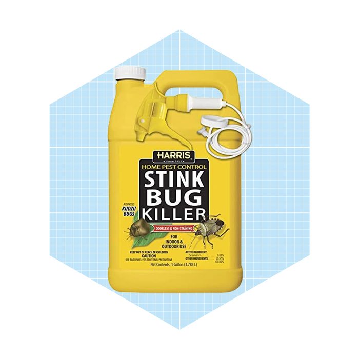 A yellow pest control jug labeled 