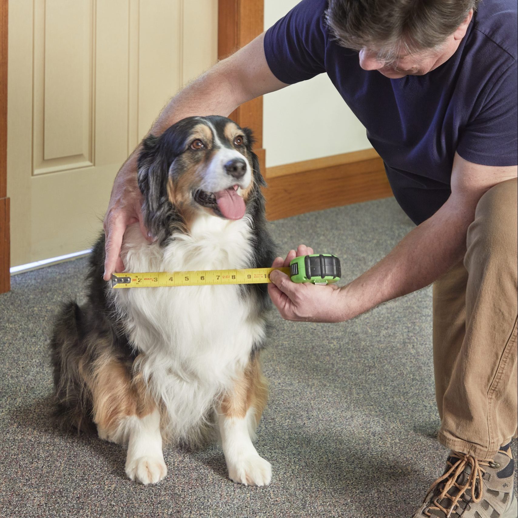 Fh22d Dogdoor 03 24 003