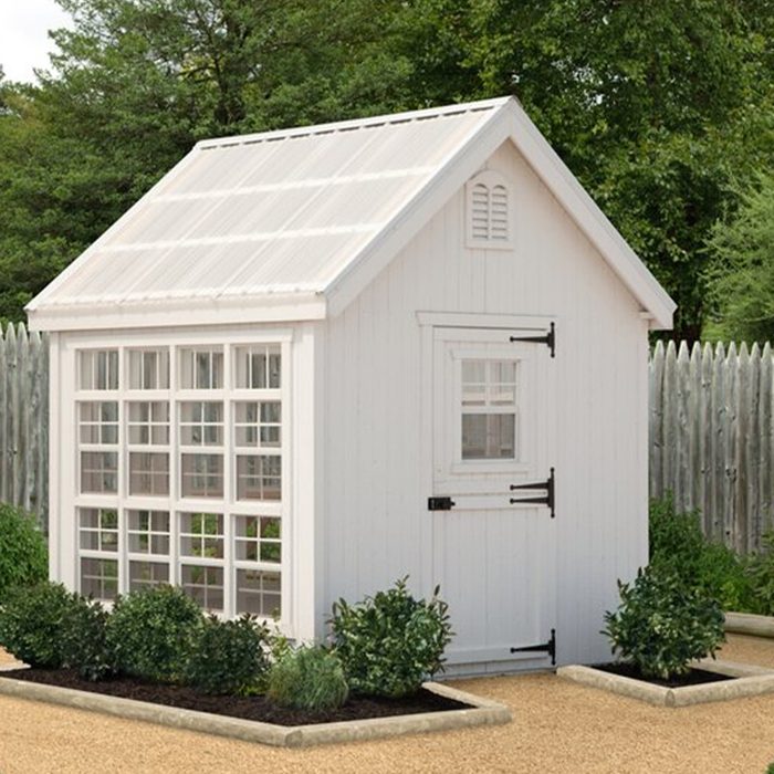 A small white garden shed stands with multiple windows, surrounded by neatly trimmed shrubs and gravel paths, set against a backdrop of greenery and a wooden fence.