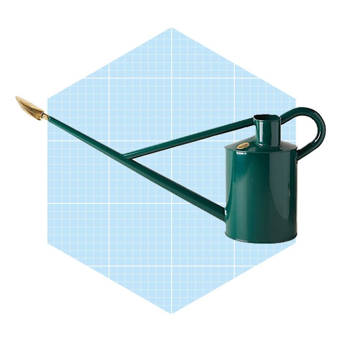 A green watering can extends its long spout, positioned against a light blue grid background, suggesting a gardening or nurturing context.