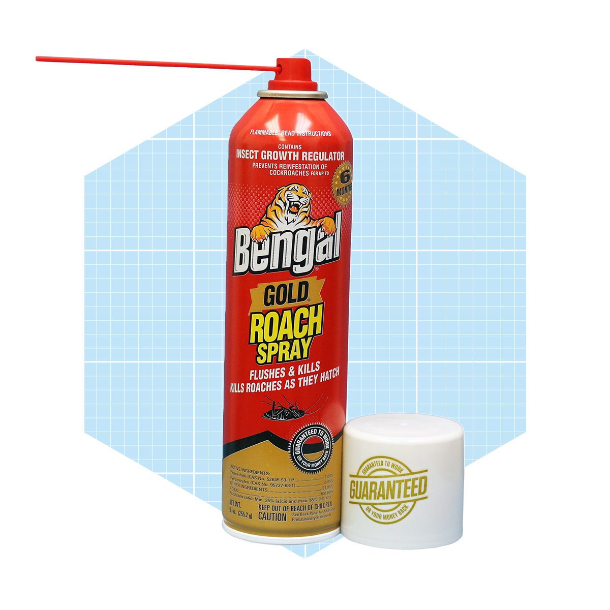 A red can of roach spray stands upright, with a nozzle aimed upward, against a light blue geometric background, accompanied by a white cap labeled "GUARANTEED."