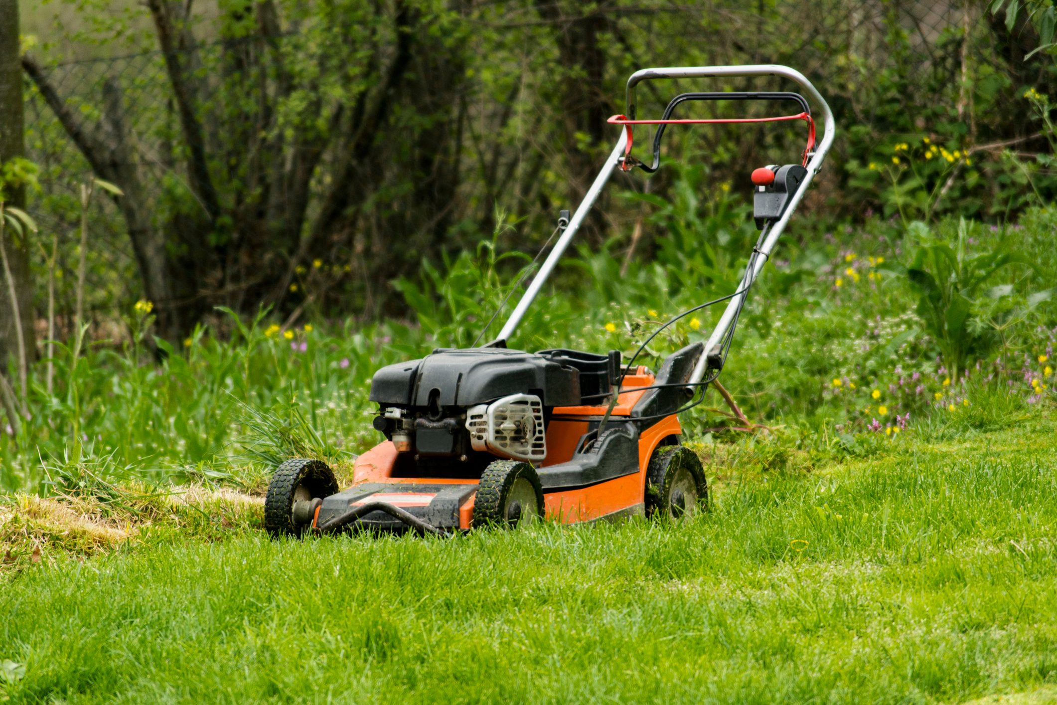 Lawn Mower