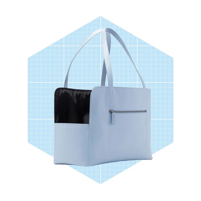 Leather Dog Carrier