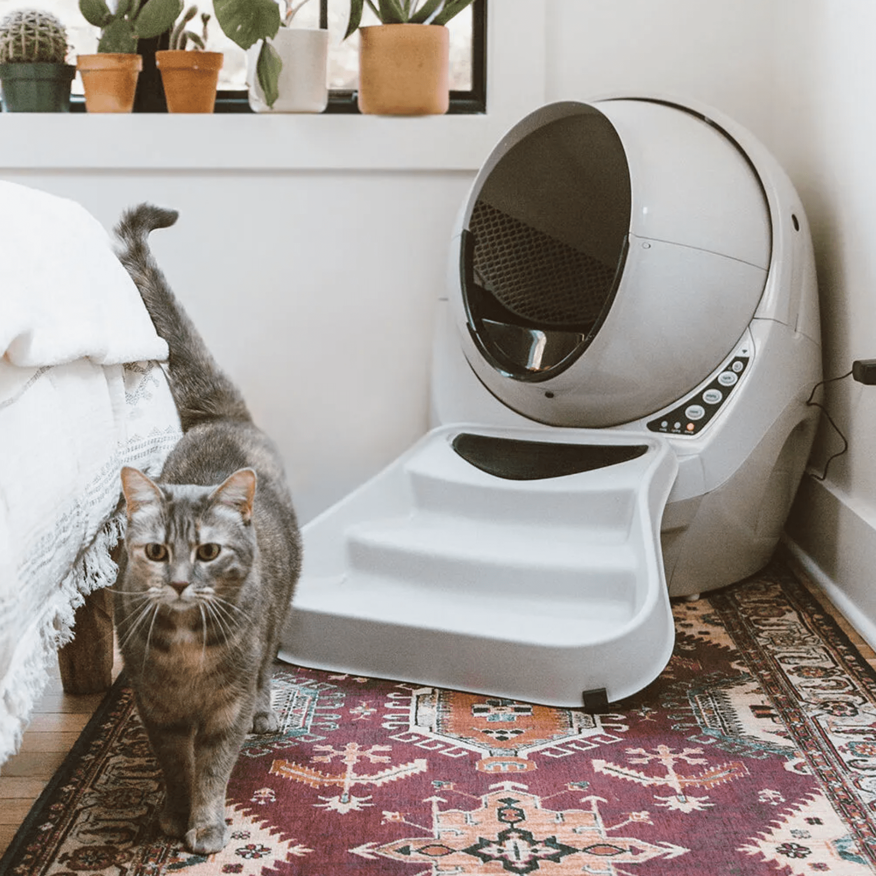 Litter Robot 3 Bundle Ecomm Via Litter Robot