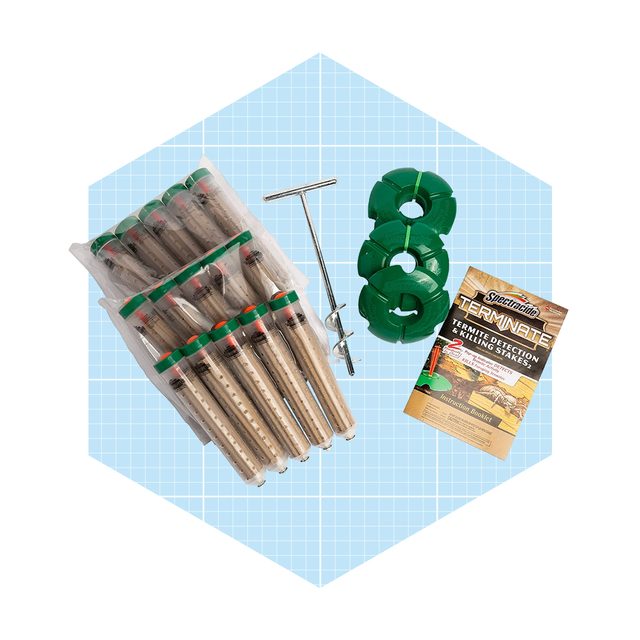 A set of termite detection tools, including stakes, an installation tool, and an instruction booklet, is arranged on a light blue grid background.