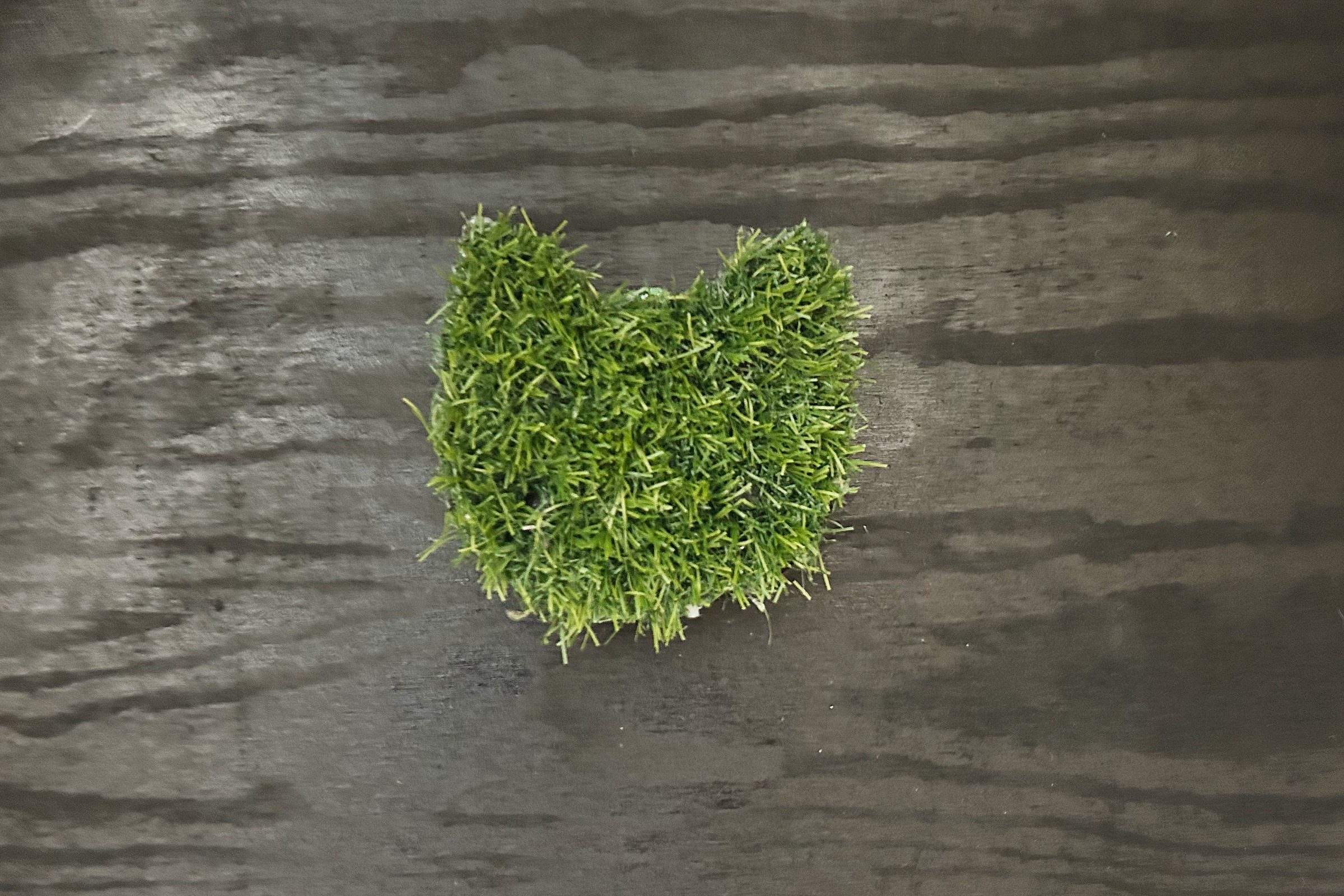 Cat Wheel Add Turf To Cutout Diy Cat Wheel Ally Childress For Fhm Jvedit