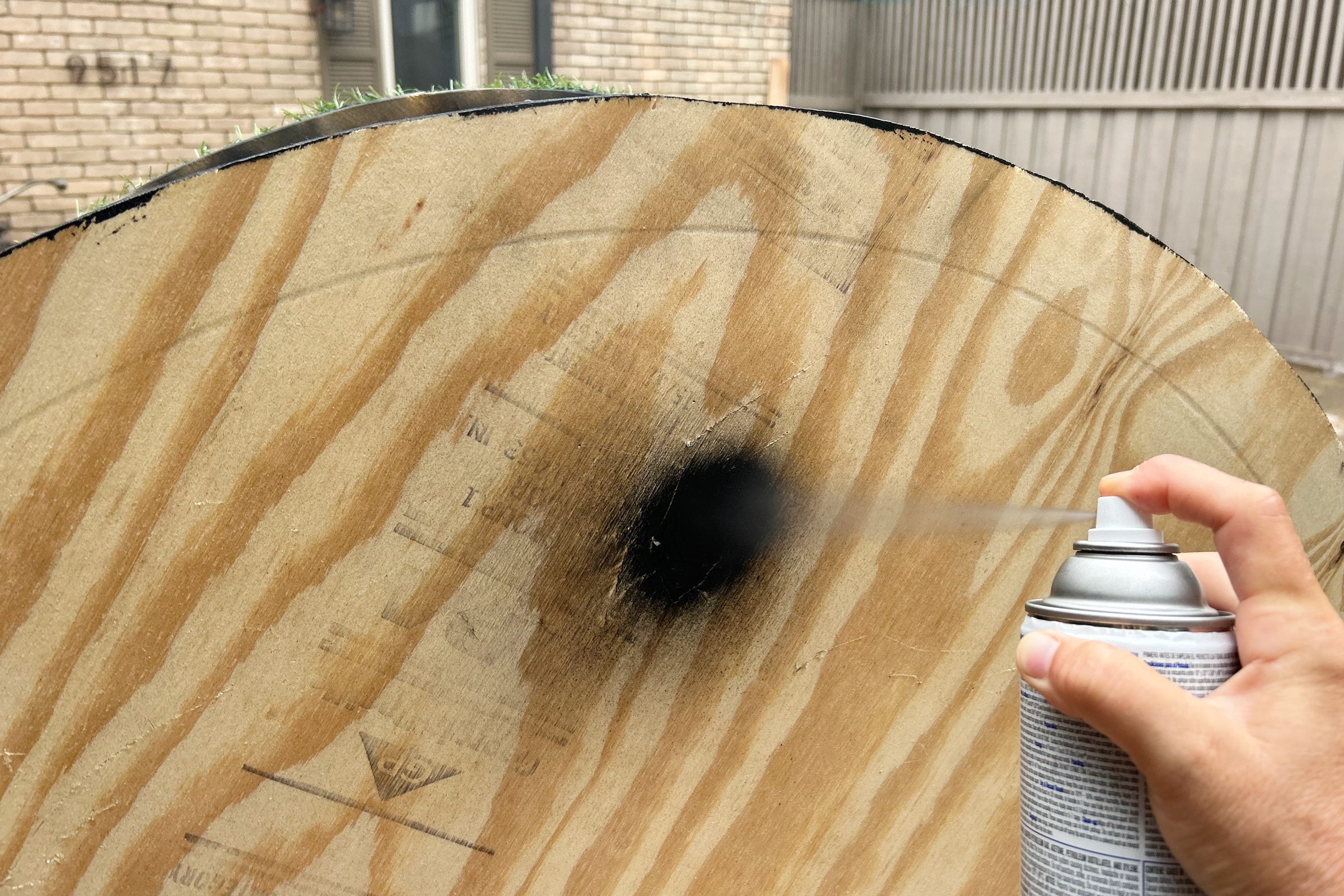  Paint Diy Cat Wheel 