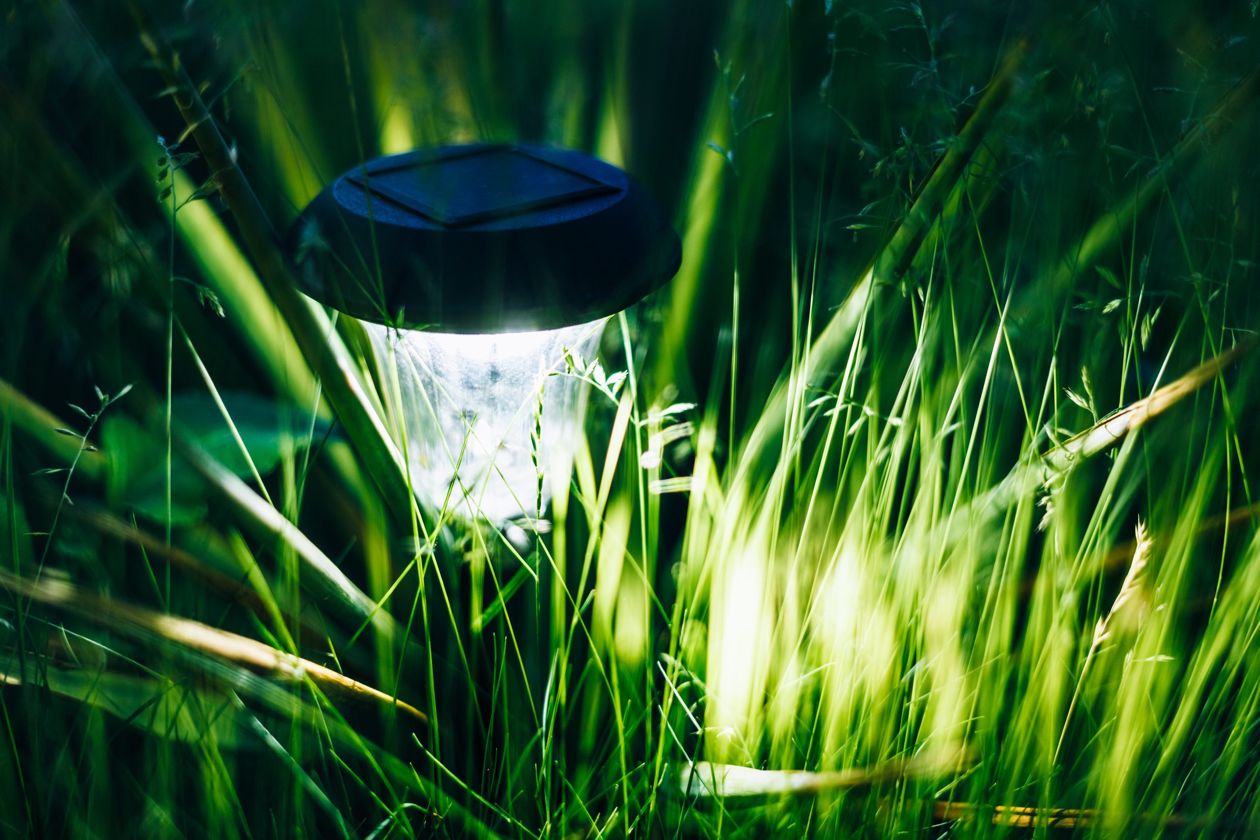 Small Solar Garden Light, Lantern In Flower Bed. Garden Design.
